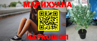 индика Бузулук